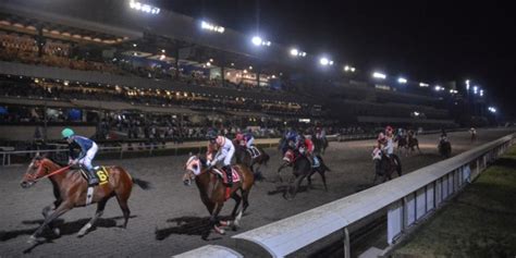 hipodromo de las americas sportsbook|SIS to broadcast Hipódromo de las Américas fixtures via Codere .